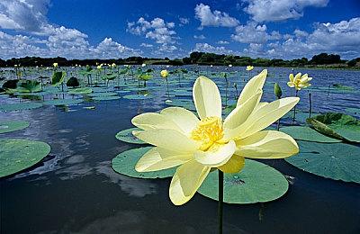 《Mirror 2》上线剧情新篇“龙女仆-琳” 创意工坊已重新开放